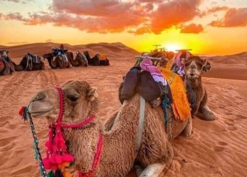 3-Day Desert Tour from Marrakech to Merzouga – Discover the Soul of the Sahara