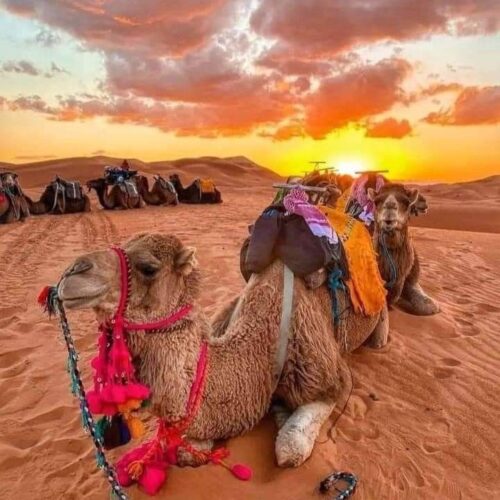 3-Day Desert Tour from Marrakech to Merzouga – Discover the Soul of the Sahara