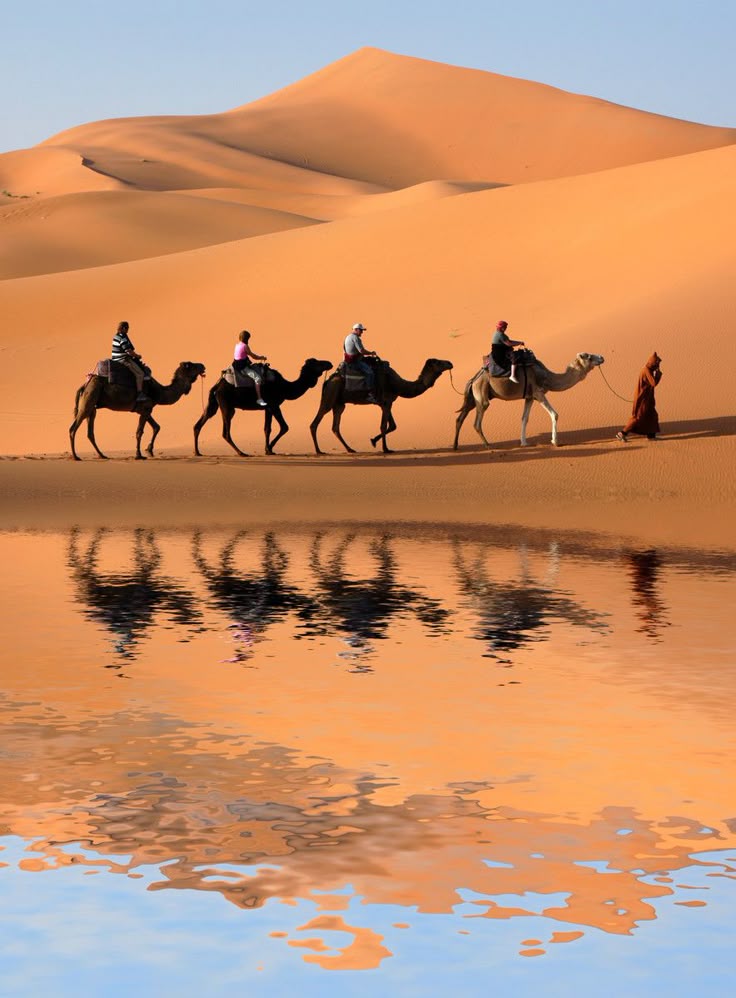 Sahara Escape